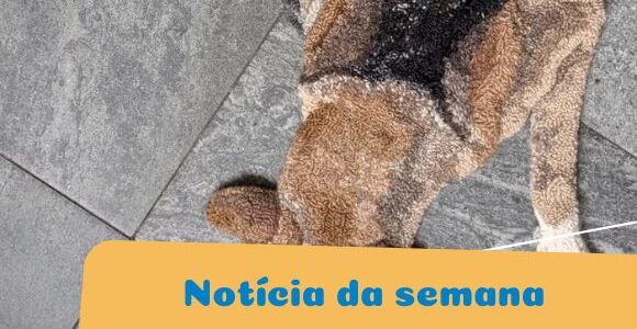 Artesã cria tapetes realistas a partir de fotografias de cachorros dormindo