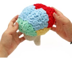 Receita de Amigurumi em PDF - Cérebro de Crochê