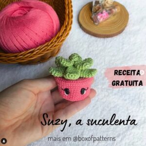 Receita de amigurumi gratuita - Suzi, a Suculenta