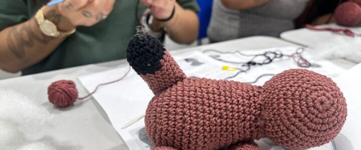 Artesania promove oficina gratuita de Crochê Amigurumi no Centro Cultural