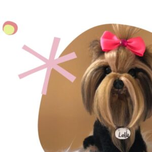 Receita de amigurumi em PDF - Yorkshire