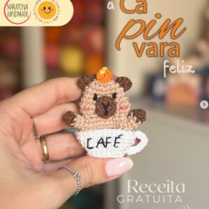 Receita de amigurumi gratuita - A CaPINvara feliz