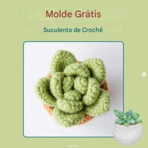 Receita de amigurumi gratuita - Suculenta