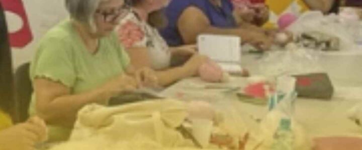 Que tal aprender a fazer sua própria ecobag de capivarinha? Liceu de Ofícios Criativos abre oficinas gratuitas na próxima semana