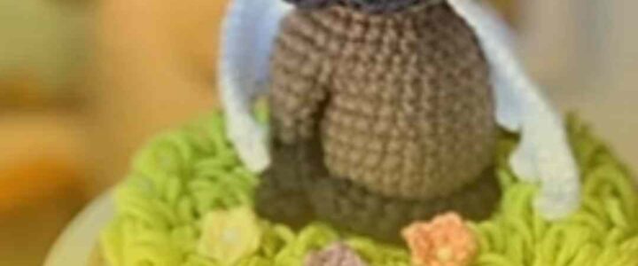Seu pet de crochê: Empreendedora faz sucesso ensinando como fazer um amigurumi de animais de estimação
