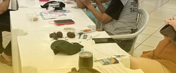 Alunas aprendem técnica artesanal de Amigurumi para criar bonecos e personagens em tricô e crochê