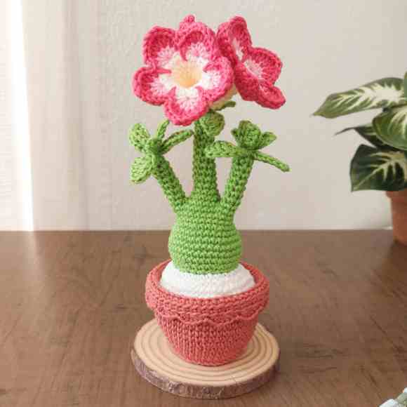 Receita de amigurumi em PDF - Rosa do deserto